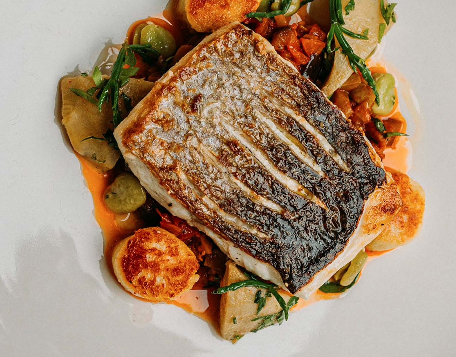 Top Restaurants in der kölner Südstadt | Phaedra | Mr. Köln | Foto: Phaedra Top Restaurants in der kölner Südstadt | Phaedra | Mr. Köln | Foto: Phaedra